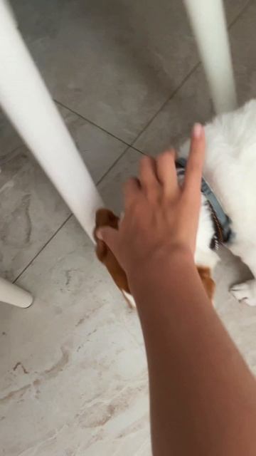 ✨ mini vlog🎀💻👚 my morning 🌅 #vlog#влог