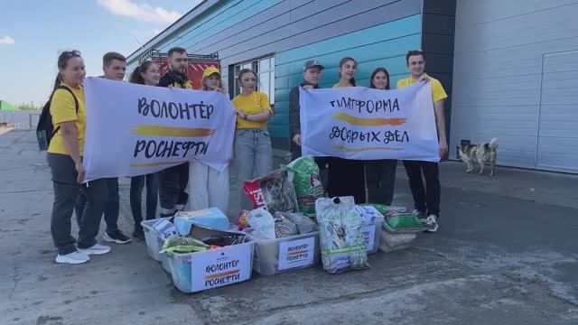 Сотрудники "РОСПАН ИНТЕРНЕШНЛ" собрали благотворительную помощь для бездомных животных смотреть онлайн