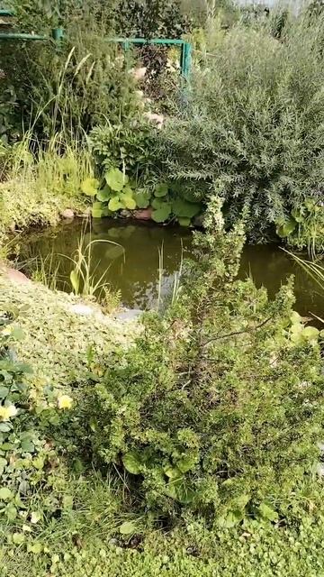 17.08.2025 смотреть онлайн