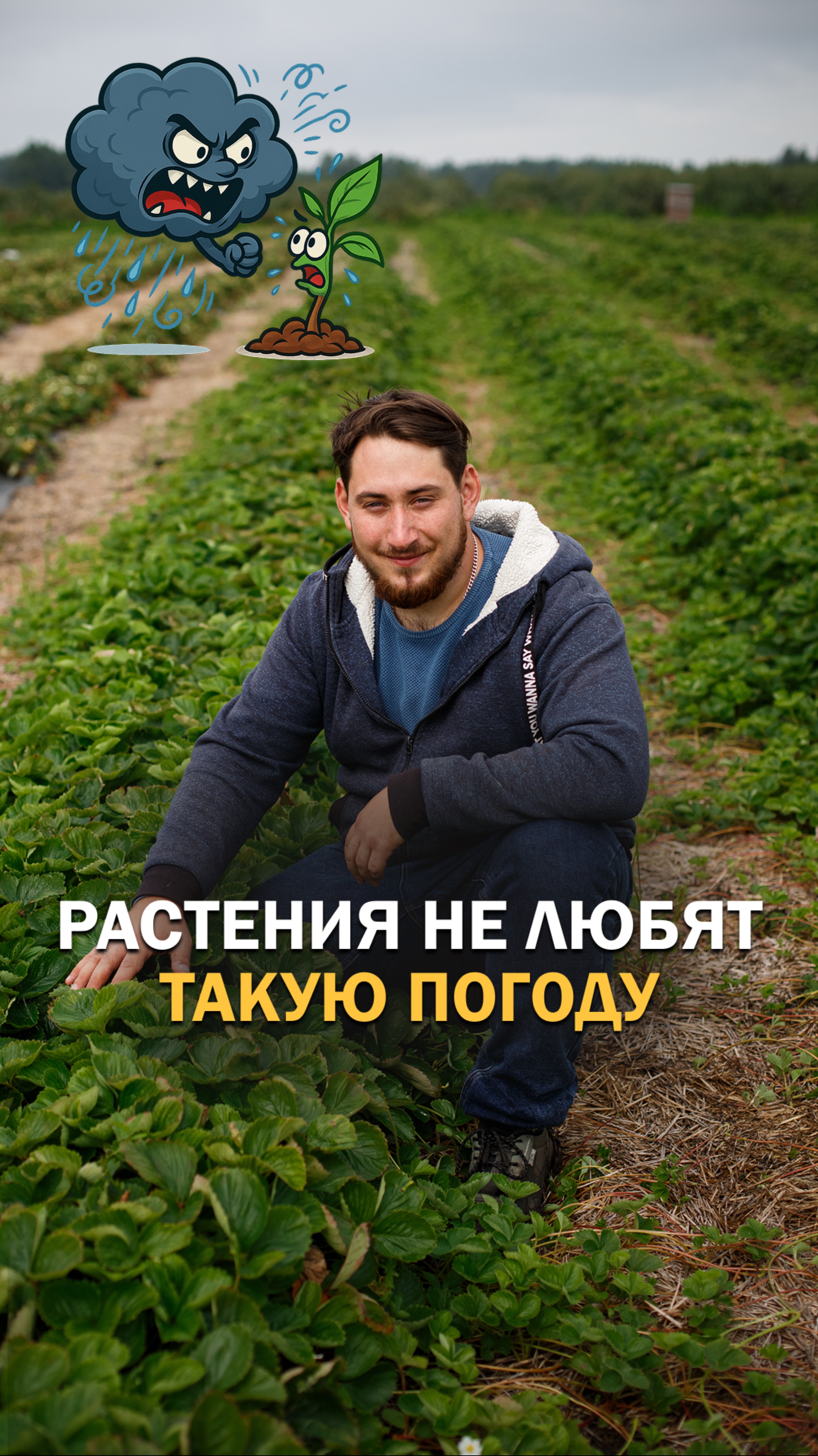 🌧 Почему растения болеют после дождей и как их защитить?