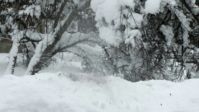 Женщина в беде 2 (2015) Криминальная мелодрама 4 серия смотреть онлайн