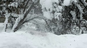 Женщина в беде 2 (2015) Криминальная мелодрама 4 серия