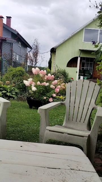 На меня смотрим, а не на гортензию! смотреть онлайн