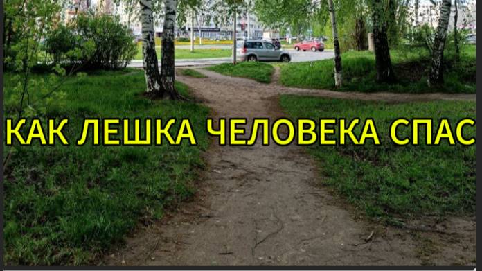 Как Лешка человека спас смотреть онлайн