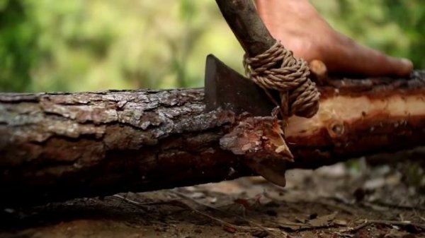 Живу в лесу уже 3 месяца, выживание