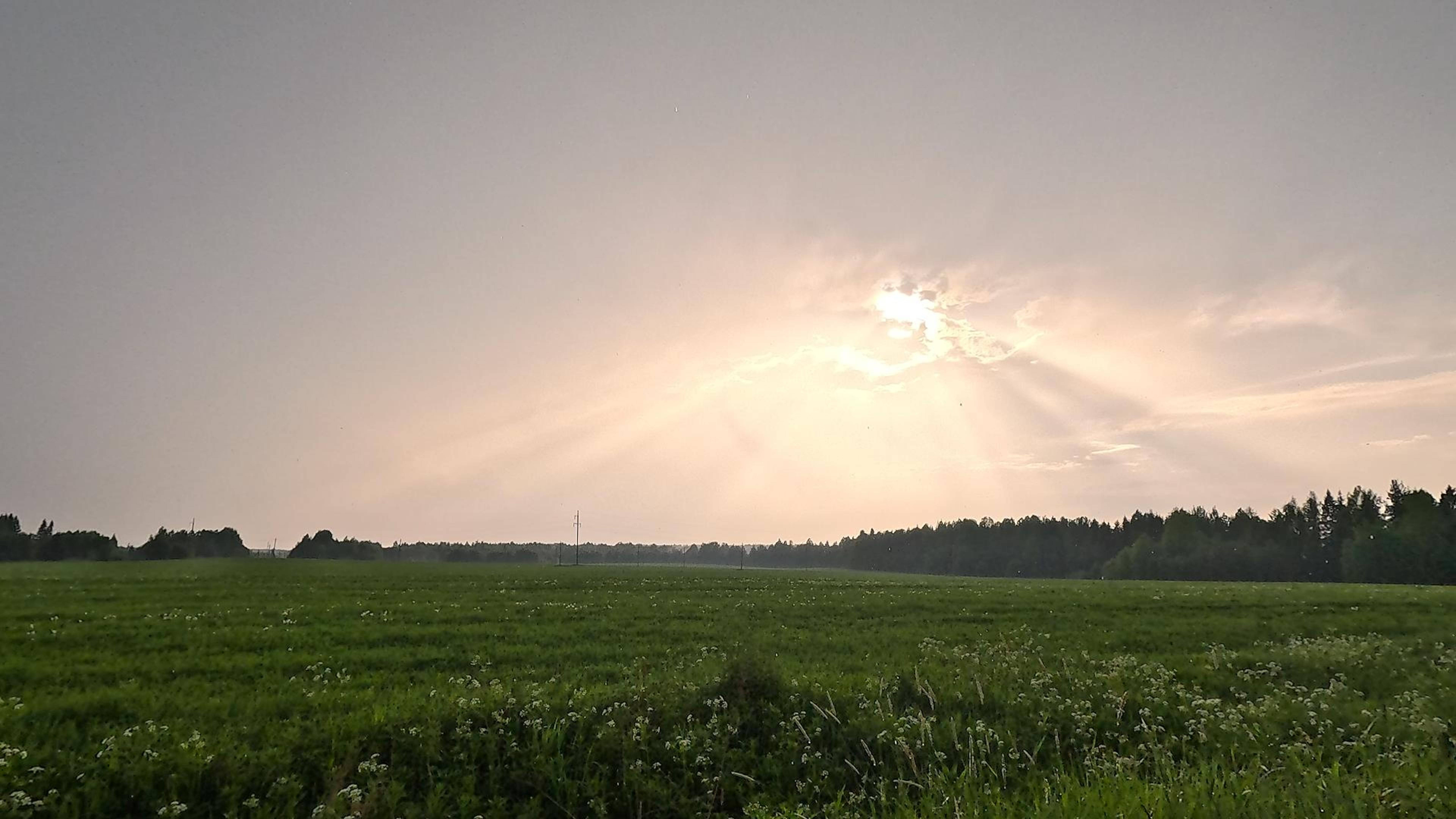 Всем хорошего дня смотреть онлайн