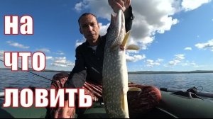 Рыбалка на щуку и окуня.