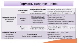 Видео-лекция №10.4 Надпочечники
