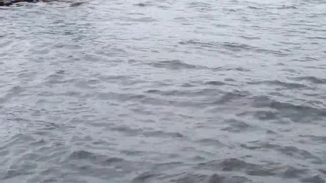 Город, который покоряет с первого взгляда! ✨