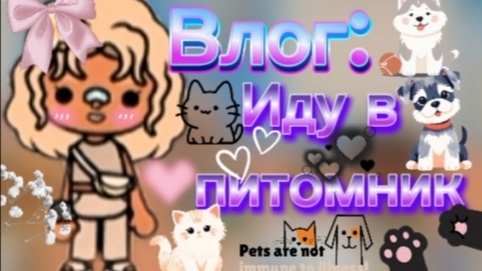 Влог: иду в питомник _ тока бока _ toca boca _ jelly toca