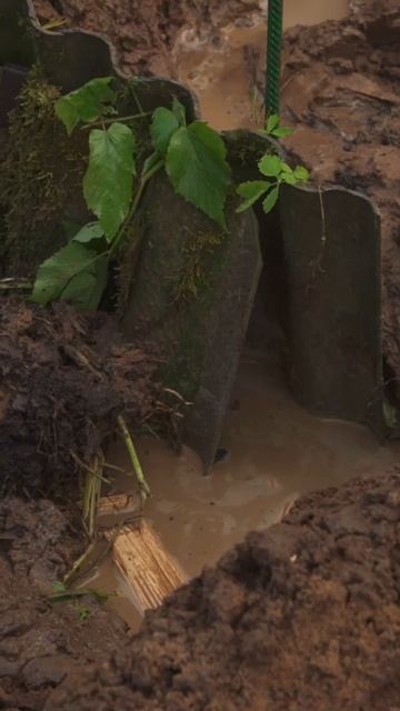 телеграм: БОБЁР.school смотреть онлайн