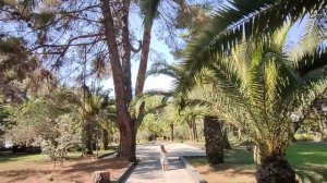 Абхазия Цитрусовый совхоз Пансионат Сосновая роща Цены Кафе Бзыбь 19 августа 2025 г.