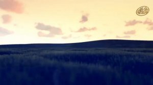 День ОБДЕЛЕНИЯ и РАЗЛУКИ! Что ждет нас на Великом Суде? Сильное напоминание для укрепления веры