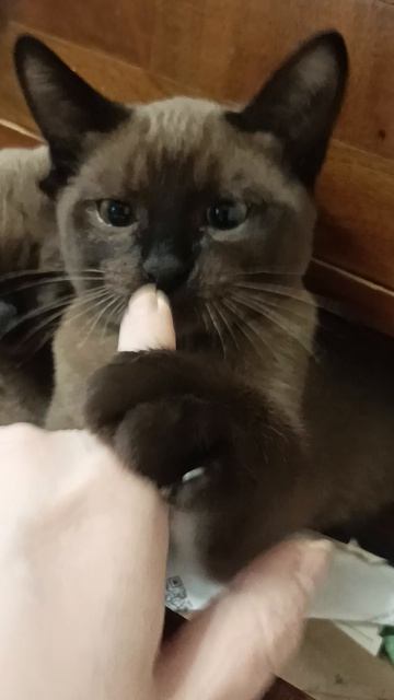 Братик Сеня и сестричка Мона) Др 10 февраля