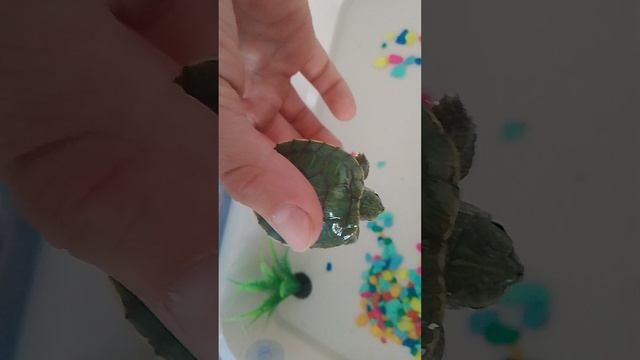 12345:12345:12345ав