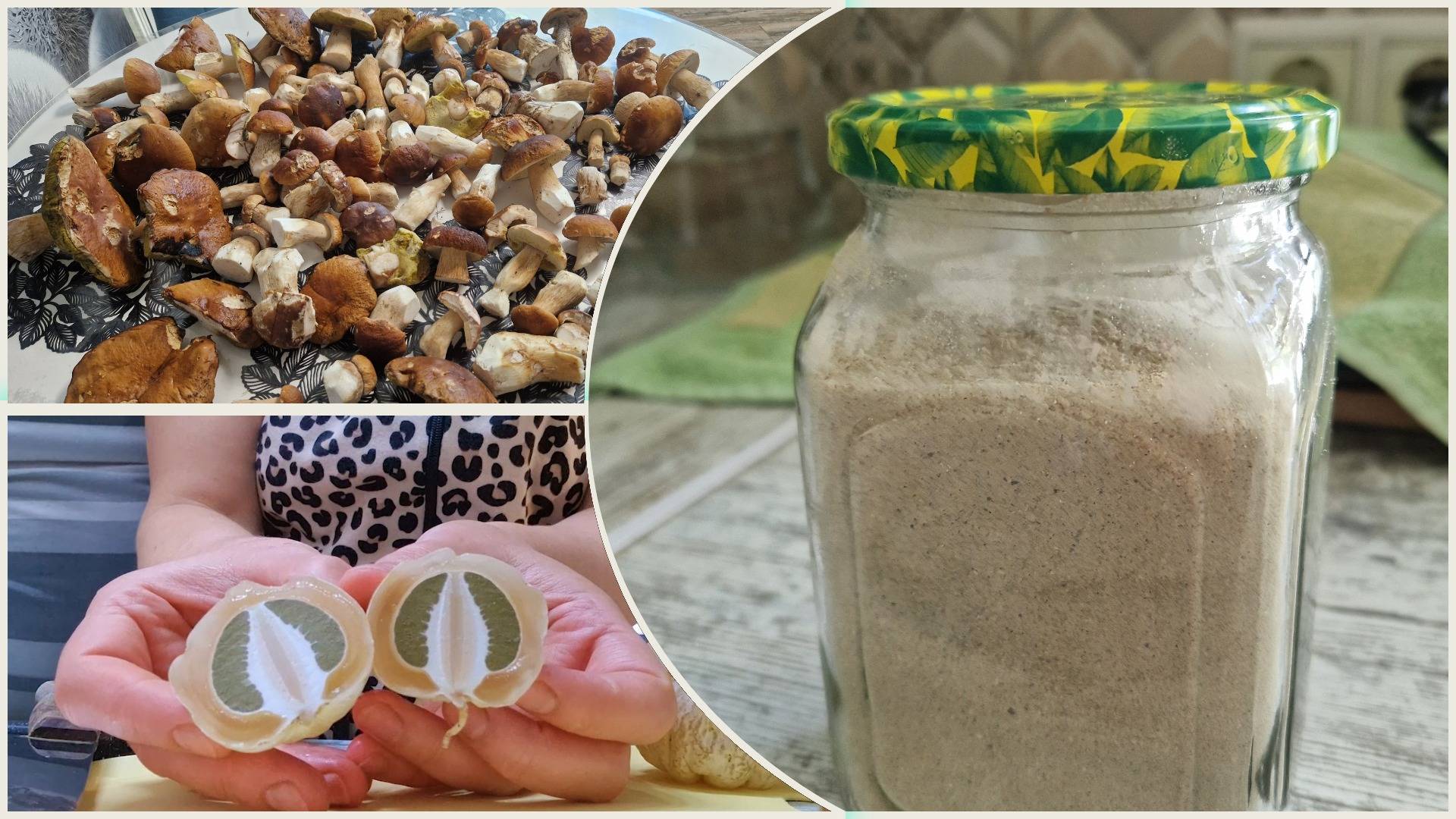 Практичные заготовки из грибов на зиму. Пробуем весёлку смотреть онлайн