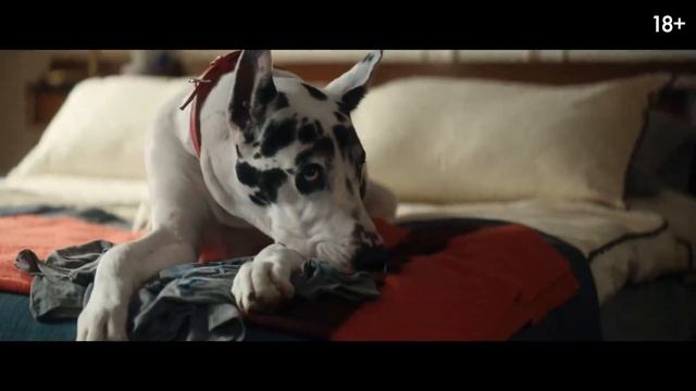 Верный друг | Русский трейлер | Фильм 2025 смотреть онлайн