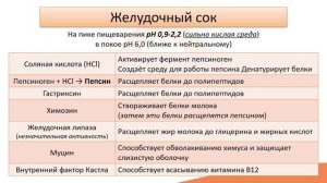 Видео-лекция №17.3 Желудок