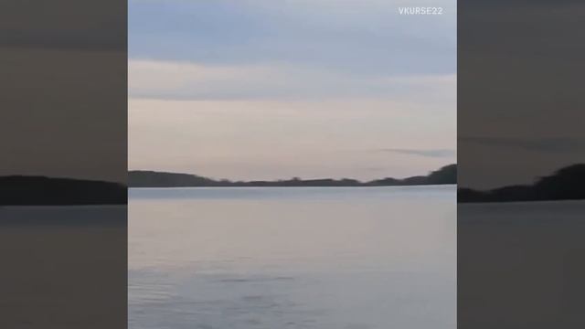 Огромная волна накрыла берег в Калманском районе Алтайского края смотреть онлайн