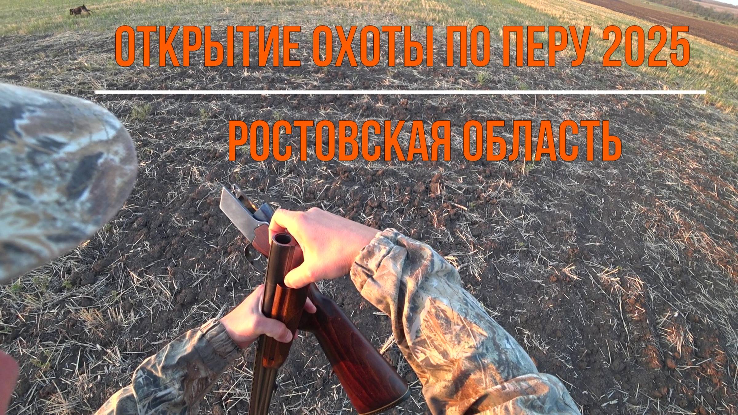 Открытие охоты по перу 2025. Ростовская область.