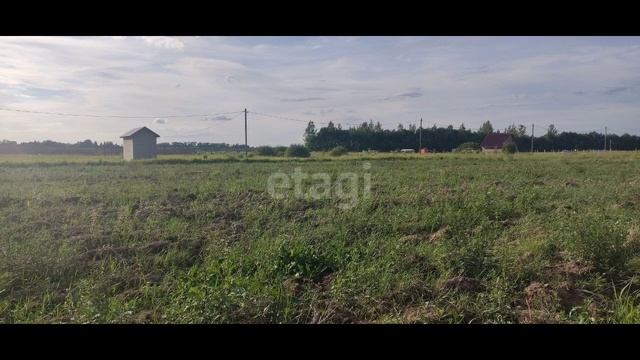 2981808 смотреть онлайн