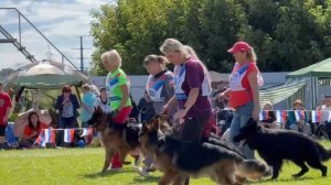 ЮНИОРЫ КОБЕЛИ ДШ / Главная выставка немецких овчарок России 2025