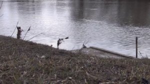 Велопоход по Орловской области, день 3.2