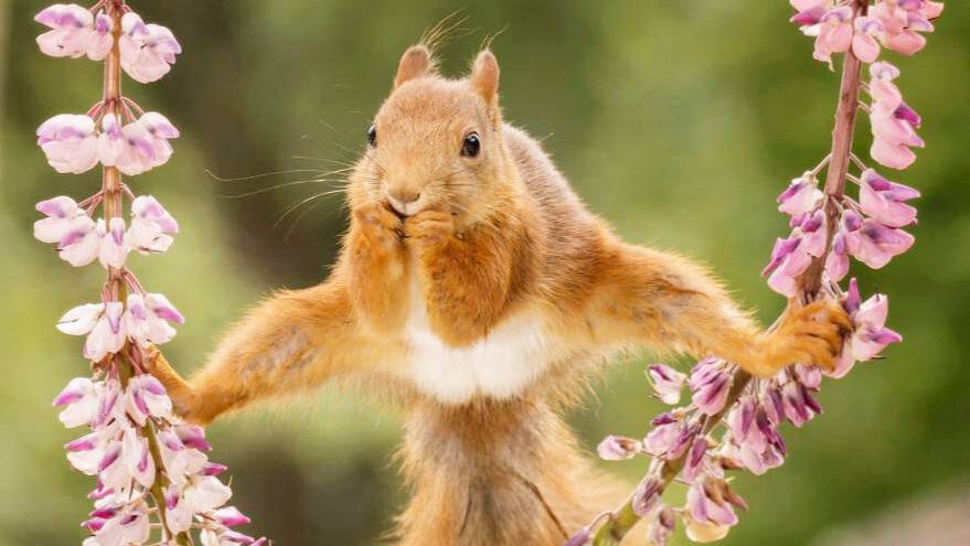 Веселый смех смотреть онлайн