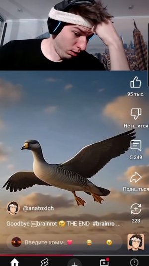 пока бренроты 😢
