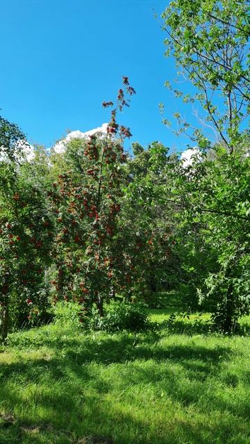 2025-08-13 снято мимоходом