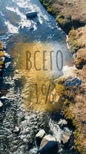 Джеймс Клир в «Атомных привычках» уверен: дело не в целях, а в СИСТЕМАХ! 💡