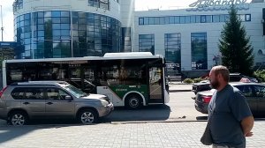 Поездка в Белокуриху одним днём/Коровы нас потеряли