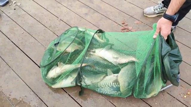 WhatsApp Video 2025-08-19 at 07.10.48 смотреть онлайн