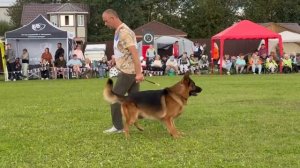 5 Отл. ROME Del Castello Fienga +++ №89. Главная выставка немецких овчарок России 2025