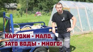 Докапываем картошку и запускаем "абиссинку"в новом доме!