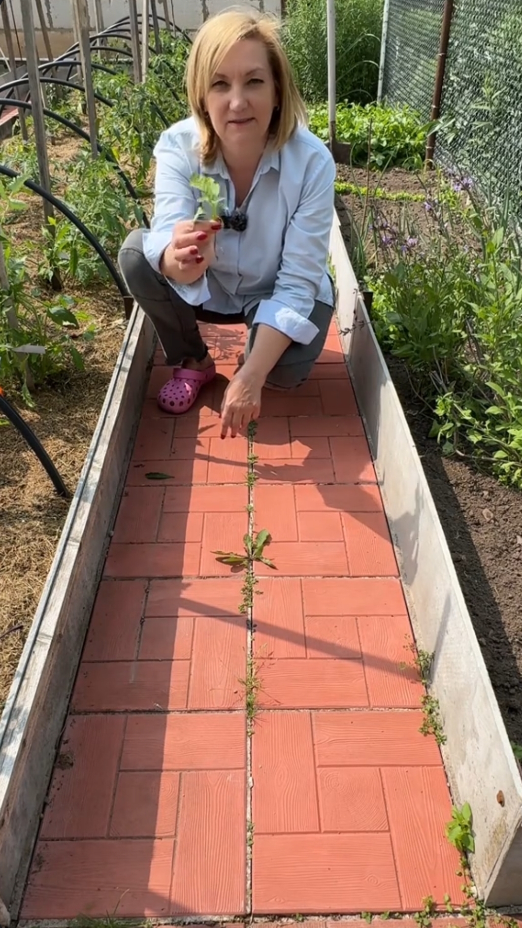 сорняки на дорожках можно убрать одним отличным способом👌