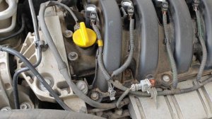 VID_20250818_111733[1]