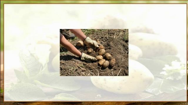 13 сентября Куприянов день смотреть онлайн