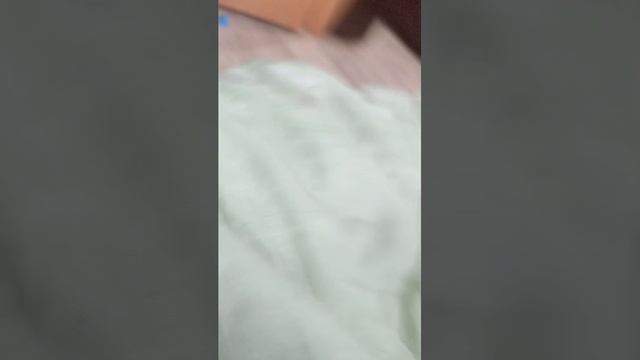 стентофф