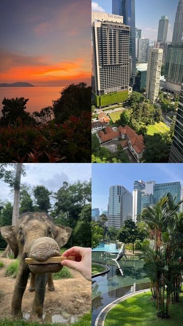 Месяц жизни в 🐘 Малайзии был очень насыщенным