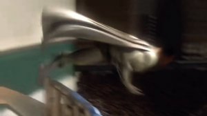 metro man Эдит (Мегамозг)