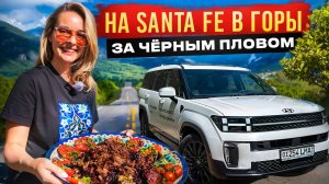 Ташкент: самый необычный плов в горах на Hyundai Santa Fe