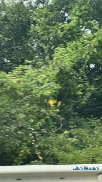 Смерчи над морем в Сочи!