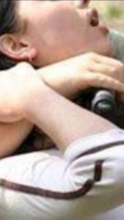 video_2025-08-19_15-18-29 смотреть онлайн