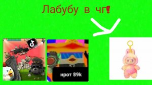МЫ С НРОТОМ 89K ПРИЗВАЛИ ЛАБУБУ ден19k, кореш24k, жура24k, нрот 89k, шлëпа play 35k