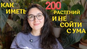 КАК избежать ВЫГОРАНИЯ, выращивая МНОГО РАСТЕНИЙ |как УПРОСТИТЬ жизнь с РАСТЕНИЯМИ и НЕ разлюбить ИХ