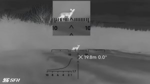 Удачный трофей. Ночная охота на лису с тепловизором SFH VARG H50RL. #охота #тепловизор #лиса