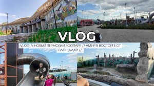 VLOG // НОВЫЙ ПЕРМСКИЙ ЗООПАРК // АМИР В ВОСТОРГЕ ОТ ПЛОЩАДКИ //