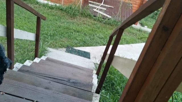 СОЧИ ГОРНОЕ ЛОО ВЕЧЕР 19.08.2025 смотреть онлайн