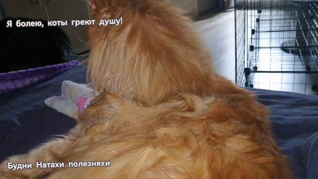 Все еще болею! Никак не оклемаюсь!